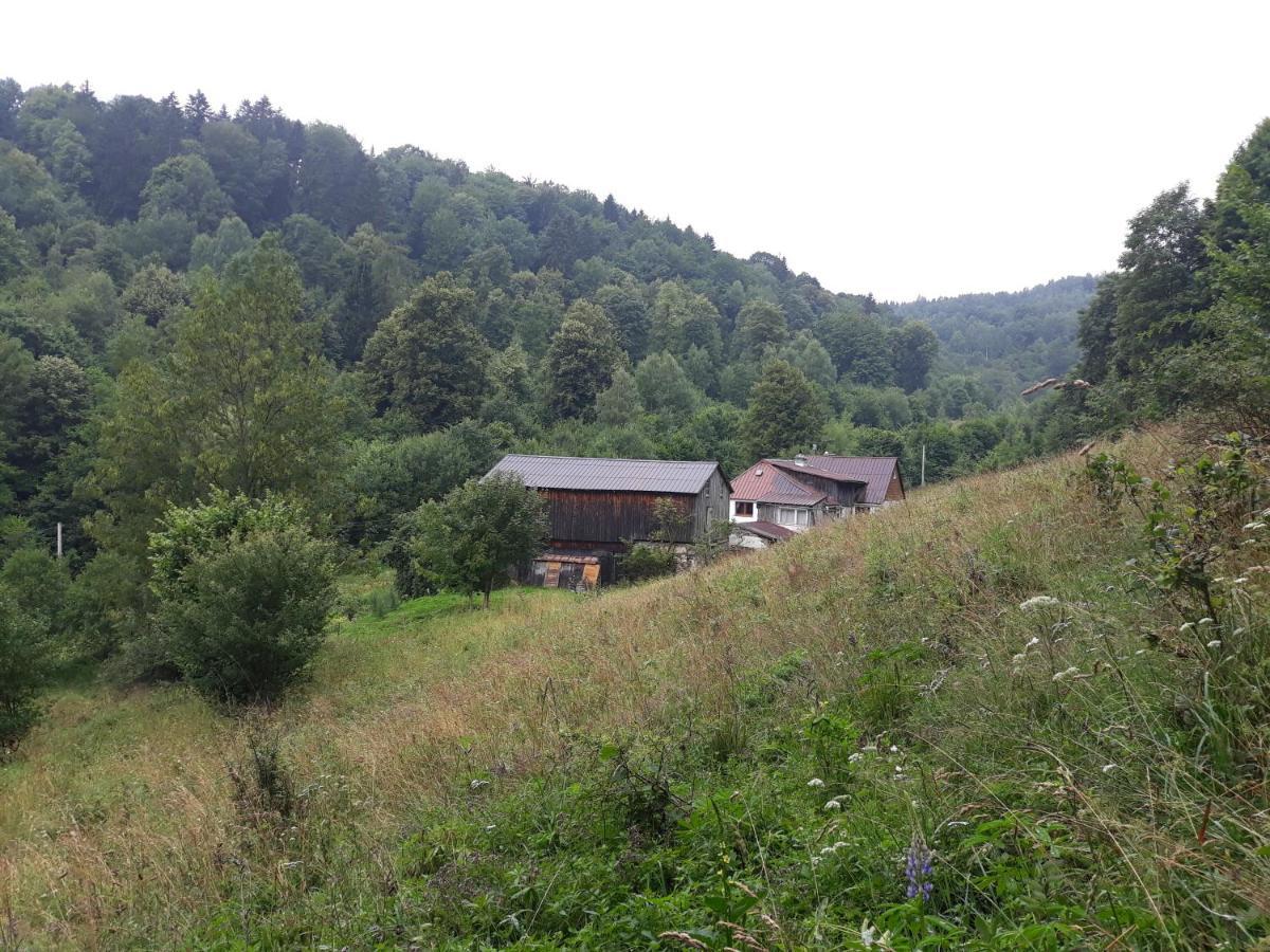 Goscinne Thank Life, 2 Forest For Rest