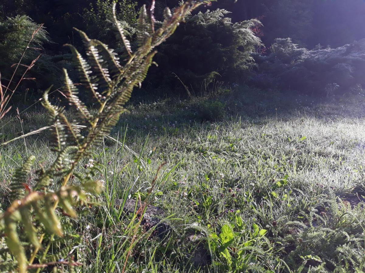 Goscinne Thank Life, 2 Forest For Rest Apartment Bystrzyca Klodzka