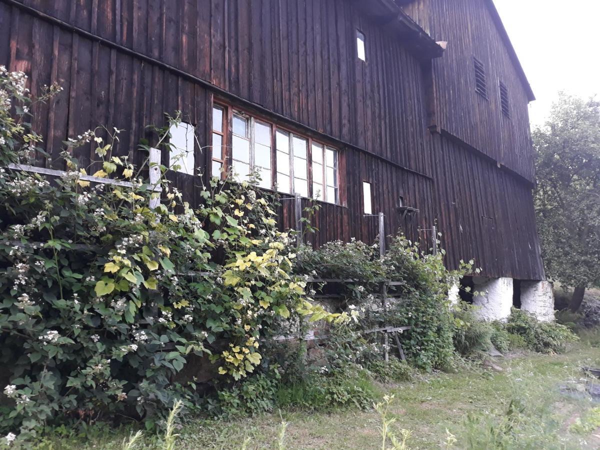 Goscinne Thank Life, 2 Forest For Rest Apartment *